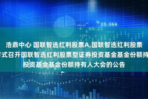 浩鼎中心 国联智选红利股票A,国联智选红利股票C: 关于以通讯方式召开国联智选红利股票型证券投资基金基金份额持有人大会的公告
