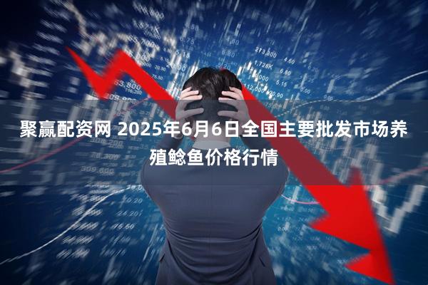 聚赢配资网 2025年6月6日全国主要批发市场养殖鲶鱼价格行情