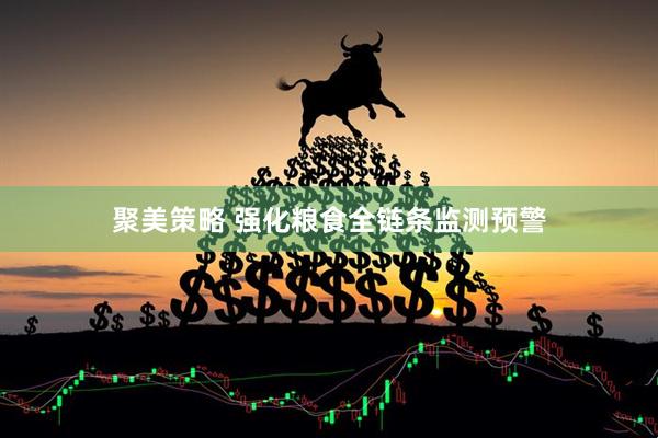 聚美策略 强化粮食全链条监测预警