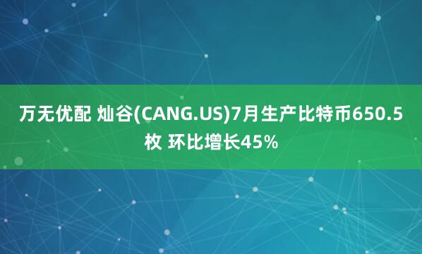 万无优配 灿谷(CANG.US)7月生产比特币650.5枚 环比增长45%