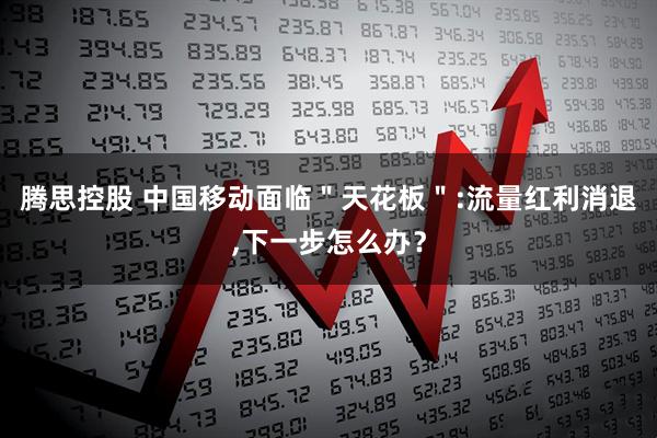 腾思控股 中国移动面临＂天花板＂:流量红利消退,下一步怎么办？