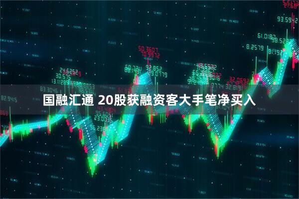 国融汇通 20股获融资客大手笔净买入
