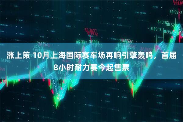 涨上策 10月上海国际赛车场再响引擎轰鸣，首届8小时耐力赛今起售票