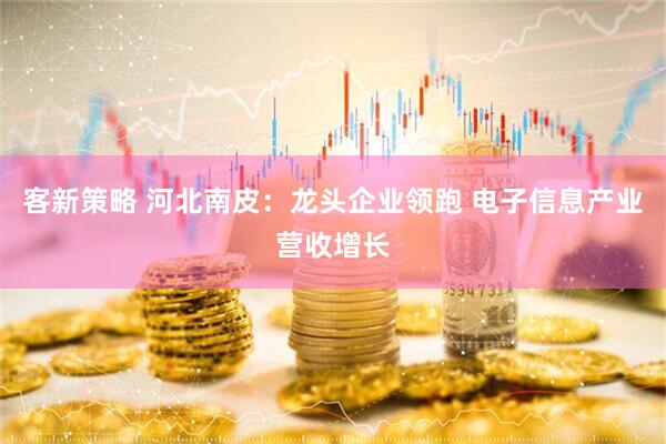 客新策略 河北南皮：龙头企业领跑 电子信息产业营收增长